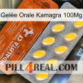Gelée Orale Kamagra 100Mg 42